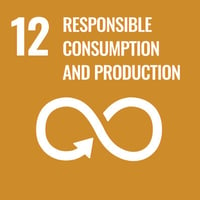 goal 12 responsible consumption and production